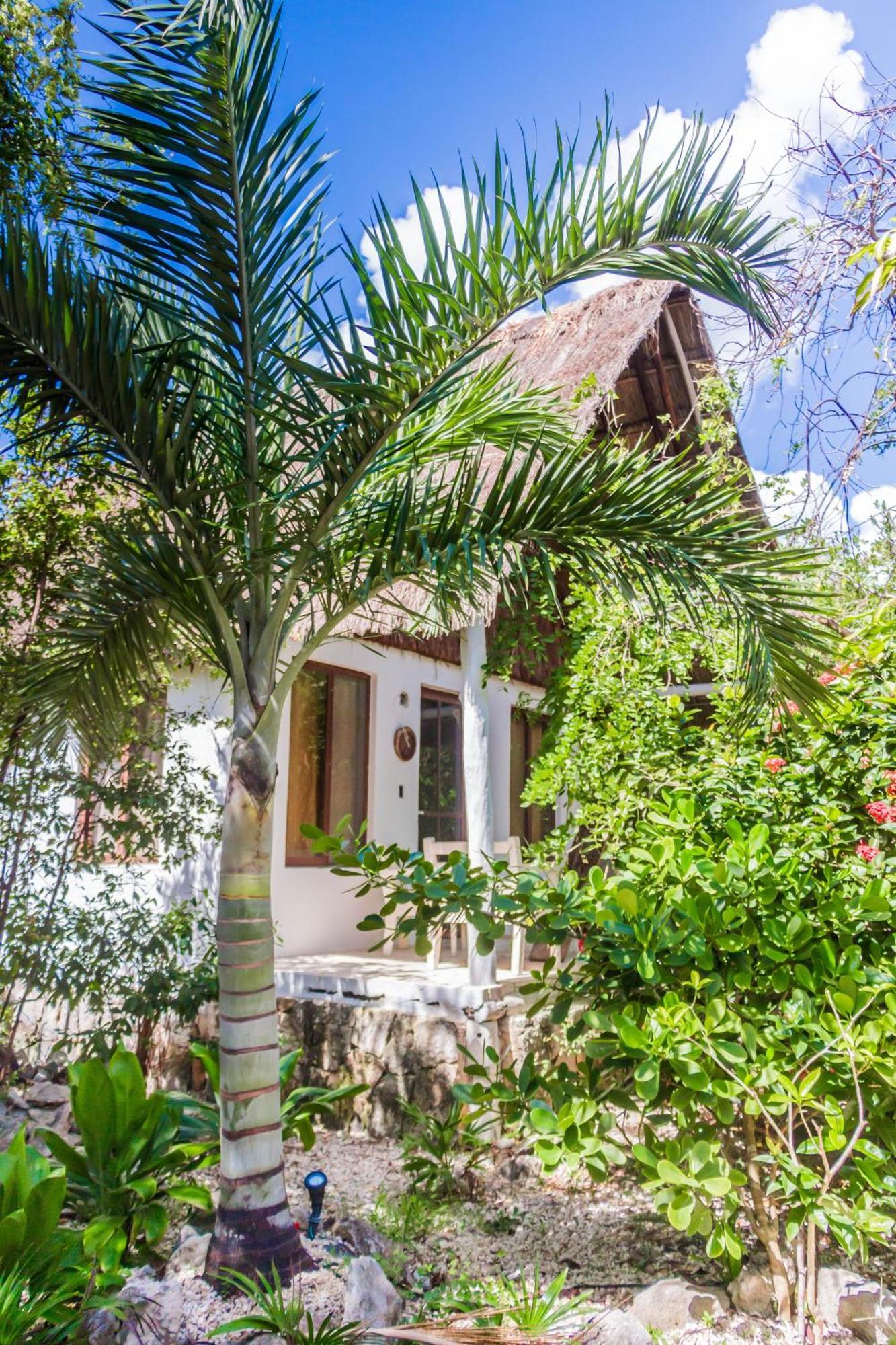 Roc Luxe Tulum 호텔 외부 사진